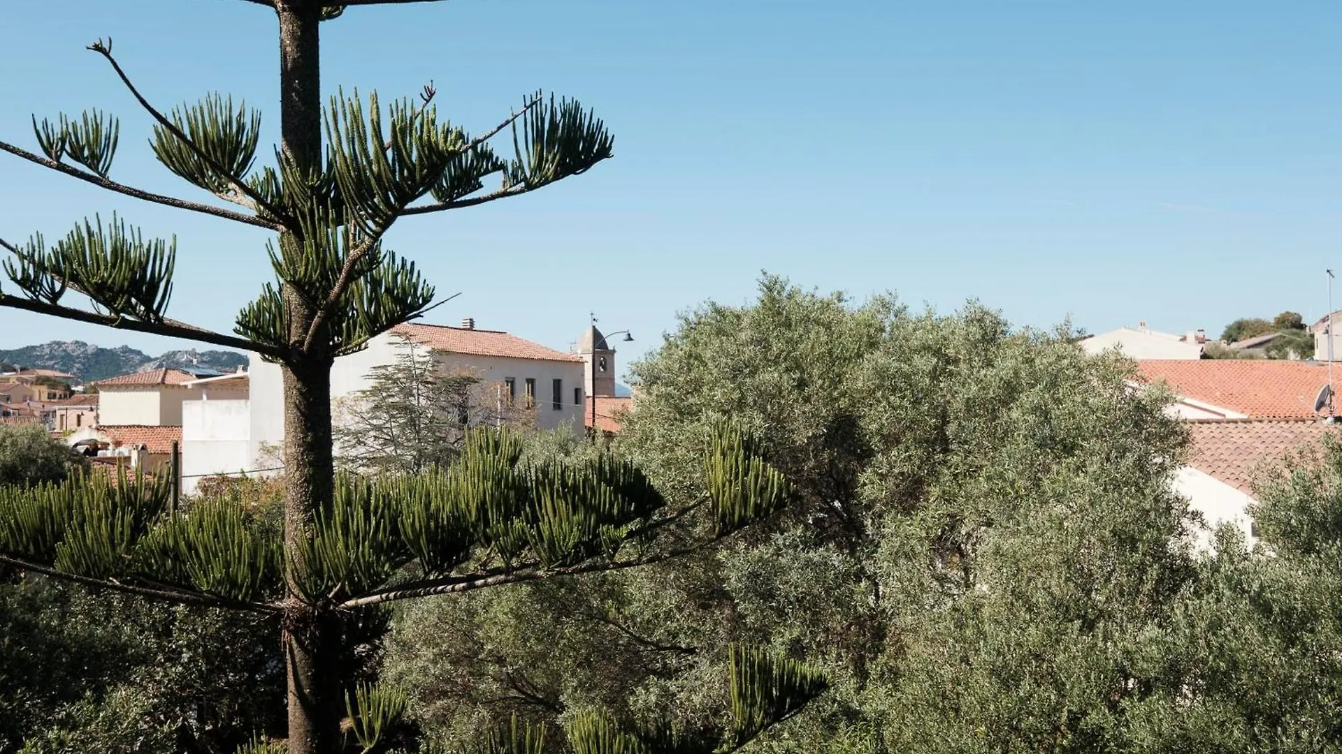 מלון סן פנטלאו Domus Ilex 0*,